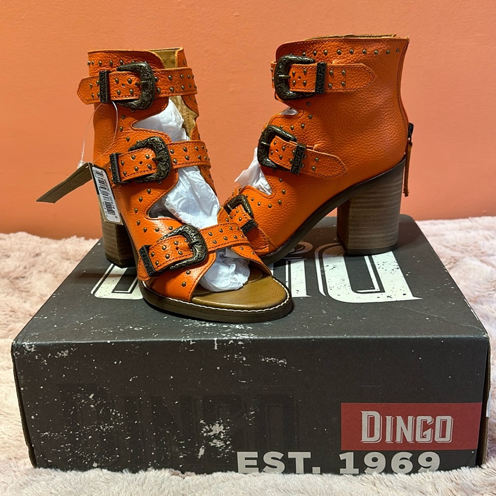 Brand new Dingo brand boots, size 6.
